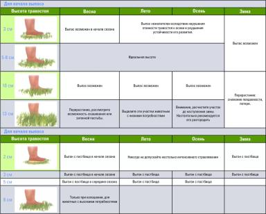 Дюдэ – Овцеводство. Гл. 12. Ч. 2. Выпас. Рационы