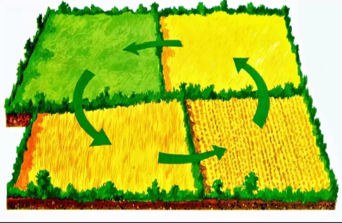 Пары? Нет, не слышал