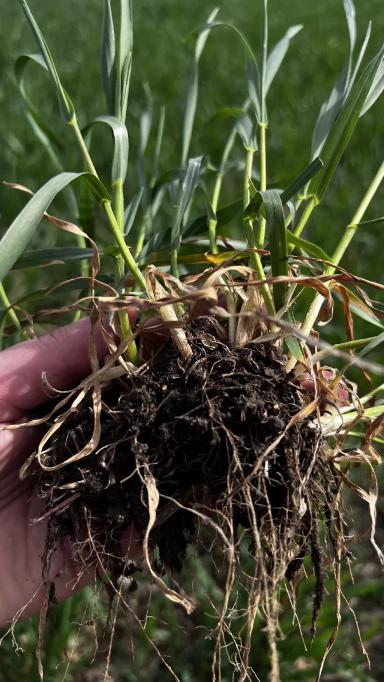 А чем сейчас работать?