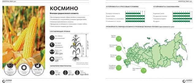Космино (COSMINO)