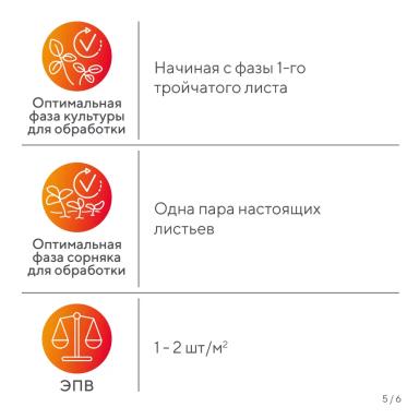 «Вредный объект? У «Августа» ответ!» – падалица подсолнечника в посевах сои