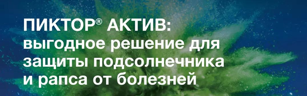 ПИКТОР® АКТИВ: выгодное решение для защиты подсолнечника и рапса от болезней