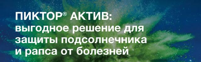 ПИКТОР® АКТИВ: выгодное решение для защиты подсолнечника и рапса от болезней