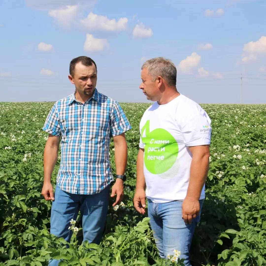 Партнеры об «Августе»