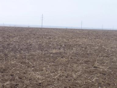 Комбинация отвальной и безотвальной обработки почвы