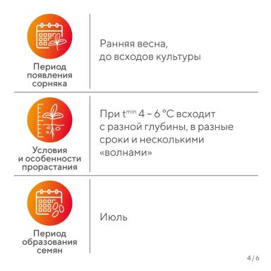 «Вредный объект? У «Августа» ответ!» – падалица подсолнечника в посевах сои