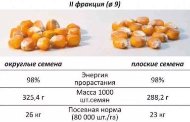 Калибровка семян кукурузы влияет на урожай