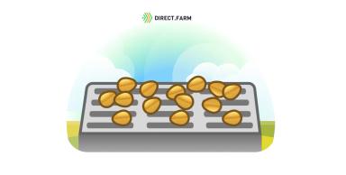 Убыль массы семян