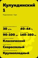 Кулундинский 1