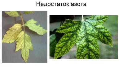 Сила природы для мощных урожаев