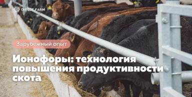 Ионофоры: технология повышения продуктивности скота