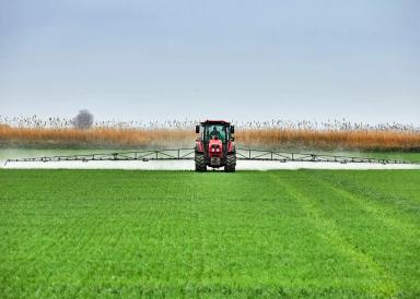 Слово партнерам «Августа». ООО «Кубрис»