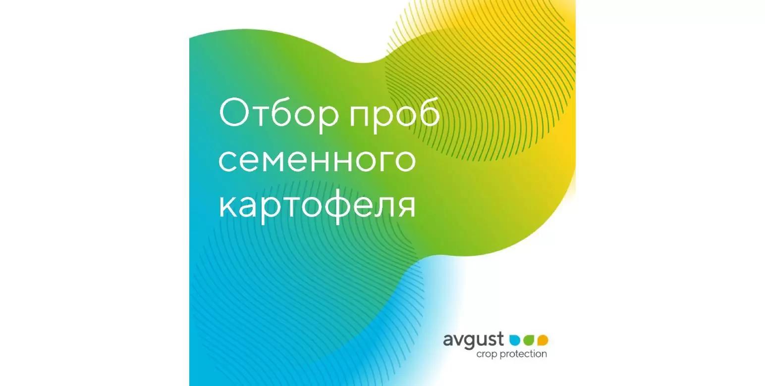 Отбор клубней картофеля на анализ