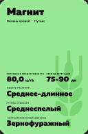 Магнит сорт ячменя ярового