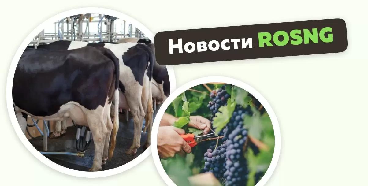 Обзор новостей за 10 ноября