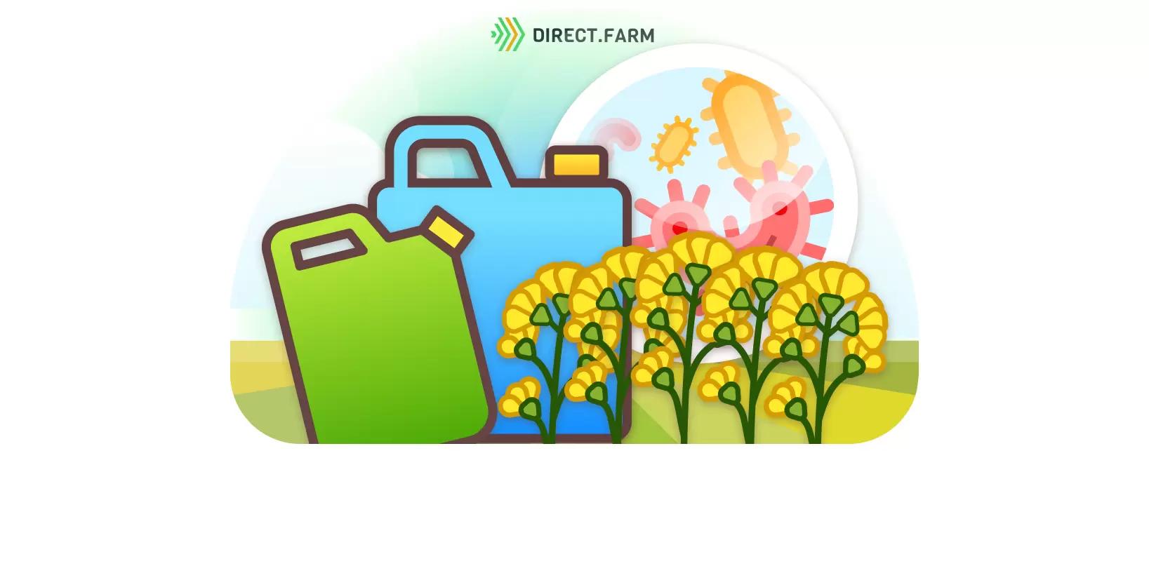 Фунгицид на рапс