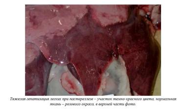 Харвуд – "Ветеринарное руководство по здоровью и благополучию коз". Гл. 10.