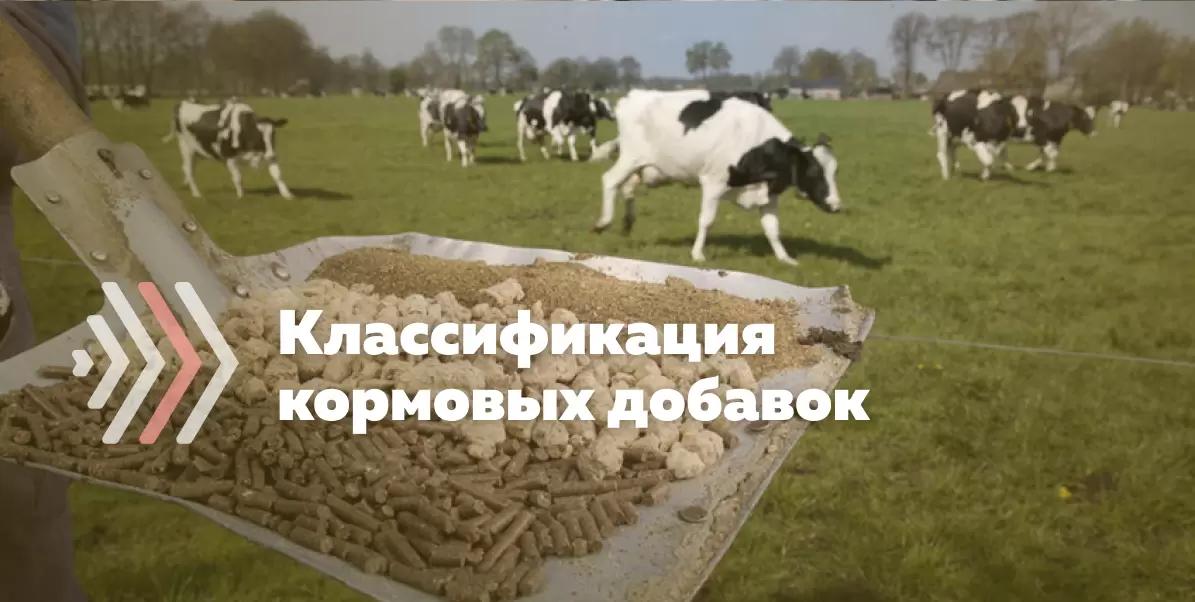 Классификация кормовых добавок