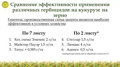 Сравнение эффективности различных гербицидов на кукурузе на зерно