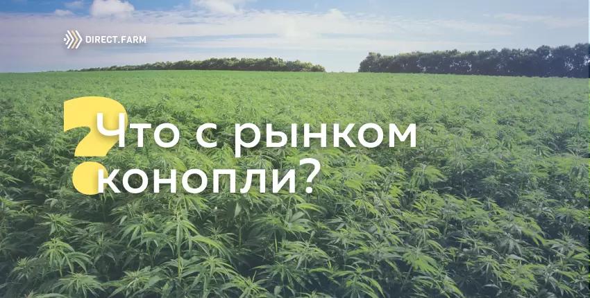 Какие перспективы появились на рынке технической конопли в России