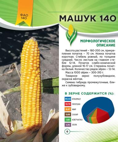 Машук 140