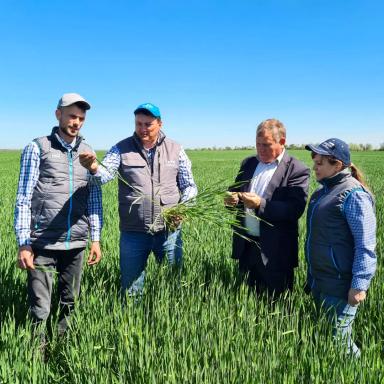 Вести с полей. Ставропольский край