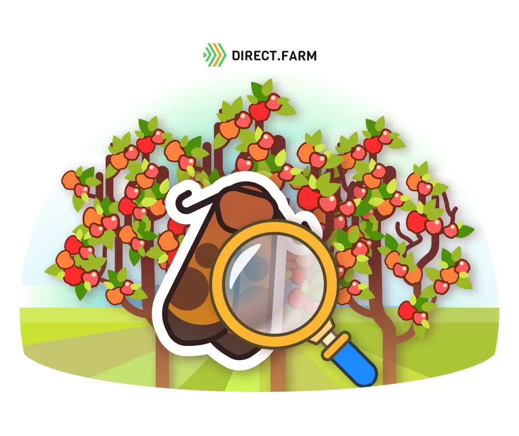 Особенности мониторинга яблонной плоджорки