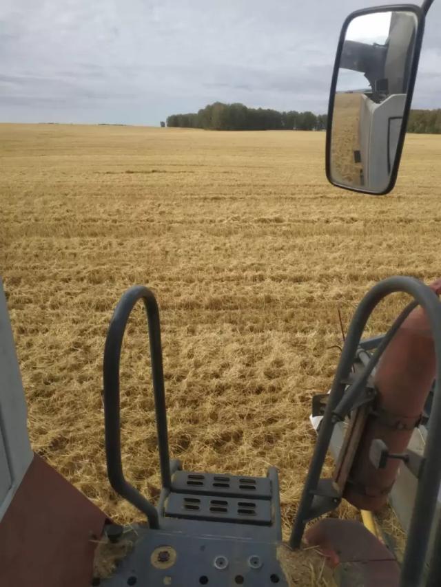 Что делать с полем на фото?