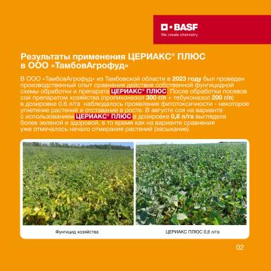 Фунгицидная защита сои с BASF