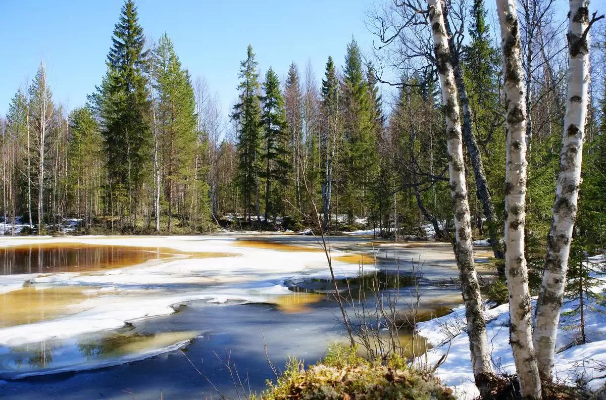 🍀 Приметы на март - про погоду и будущий урожай