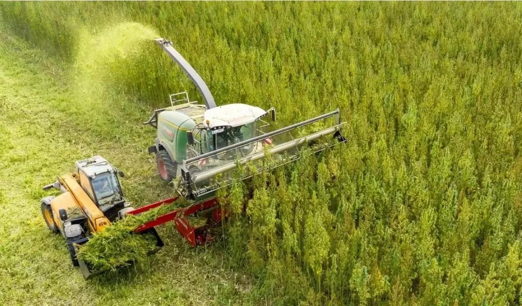 Ищем партнёров для Севооборота, арендуем участок