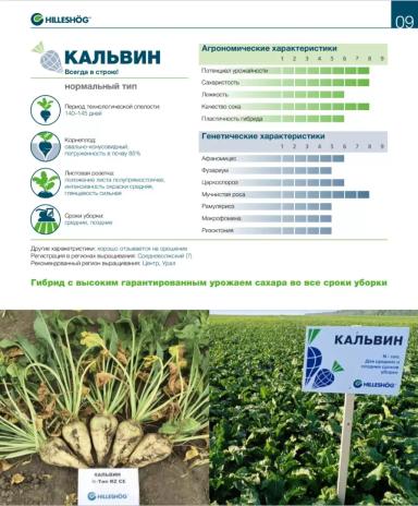 КАЛЬВИН