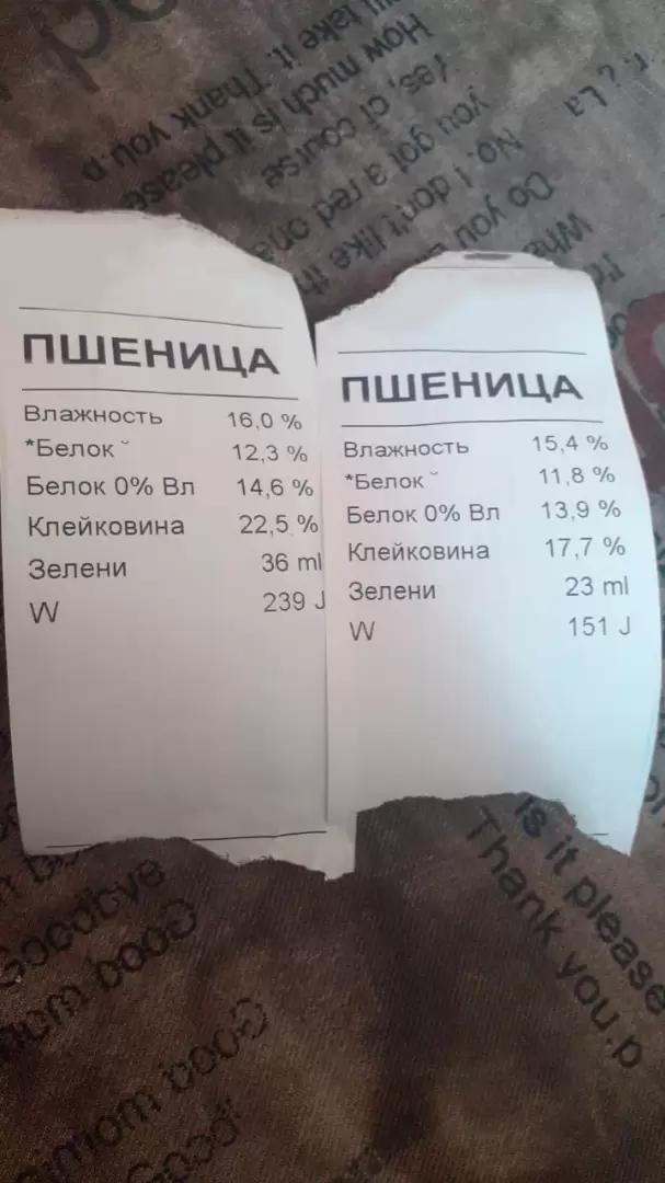 Вопросы для обсуждений: проводить вспашку или нет?