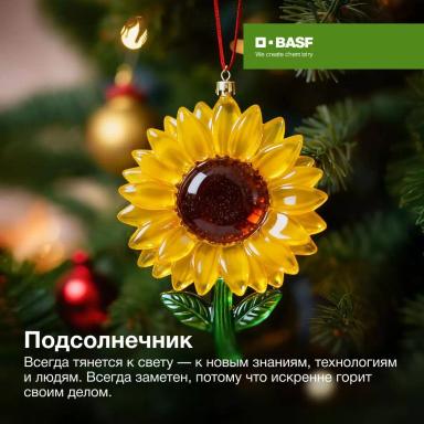 Какая вы культура?