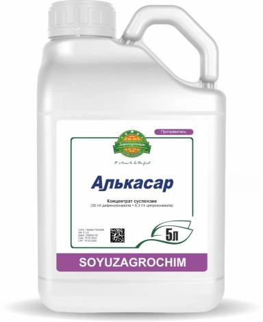 Алькасар, КС