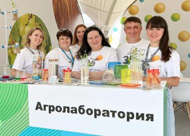 День Донского поля