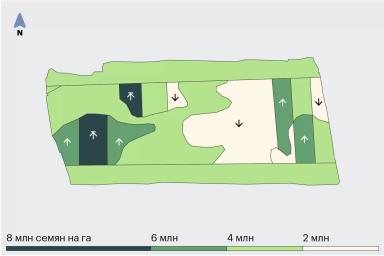 Как с помощью полевого опыта сократить расходы на семена пшеницы на 50%?
