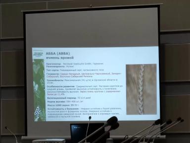 Абба (ABBA) ячмень ЭкоНива