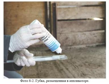 Дюдэ – Овцеводство. Гл. 8. Управление воспроизводством