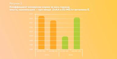 Предотвращение теплового стресса у бройлеров: витамин Е и цинк