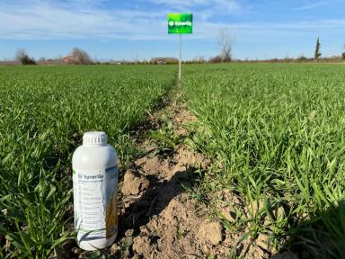 Один адъювант – комплексный результат