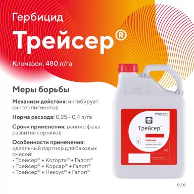 «Вредный объект? У «Августа» ответ!» – падалица подсолнечника в посевах сои
