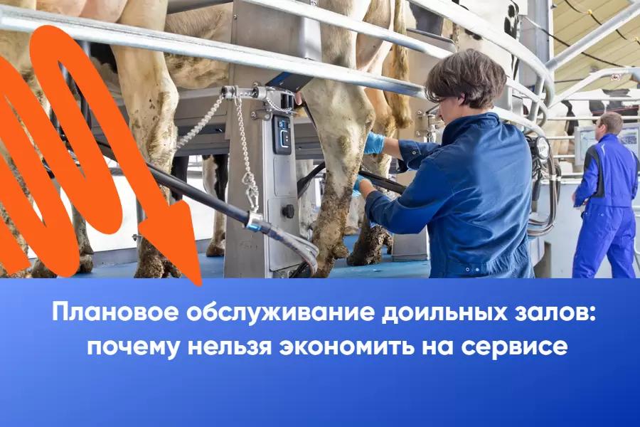 Плановое обслуживание доильных залов: почему нельзя экономить на сервисе