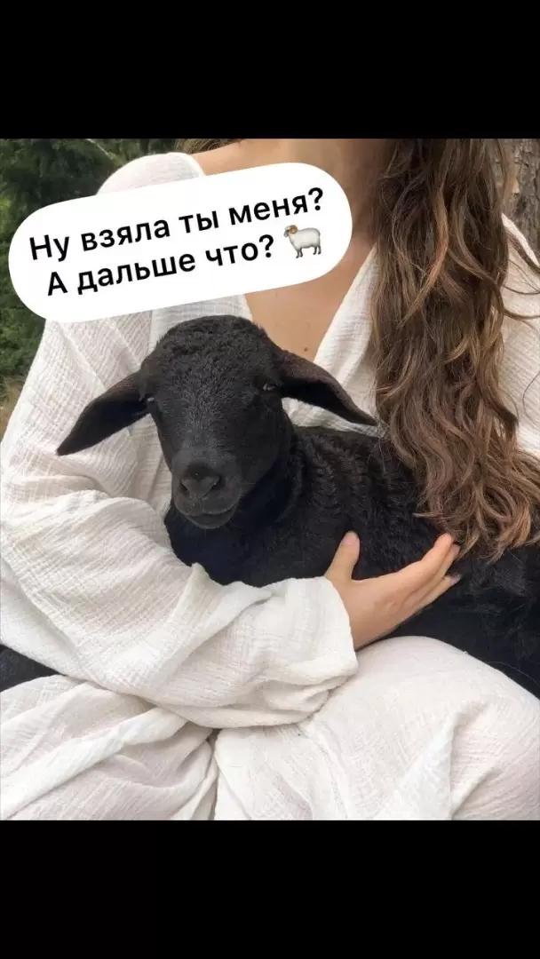 Немножко юмора