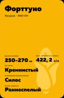 Форттуно - гибрид кукурузы (Zea mays L.).