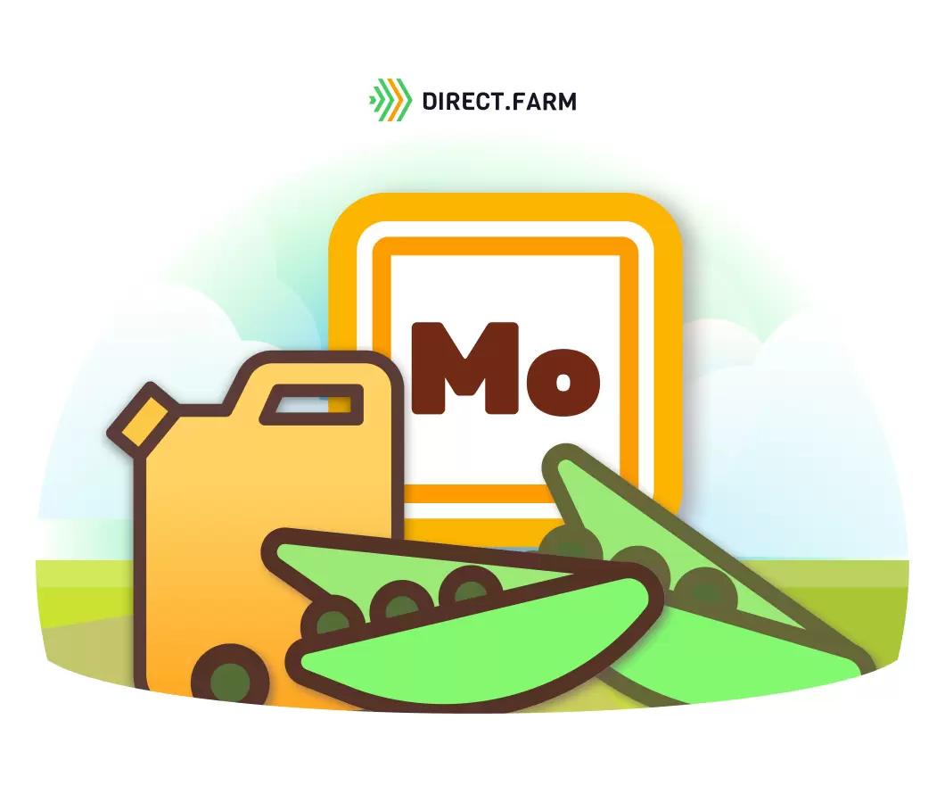 Когда эффективнее обработать семена гороха молибденом?