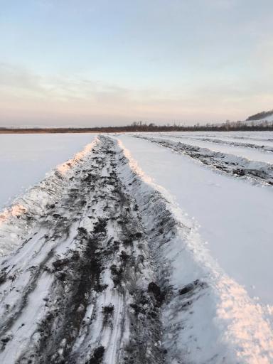 Делаем снегозадержание.