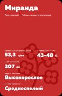 Миранда (MIRANDA) рапс озимый