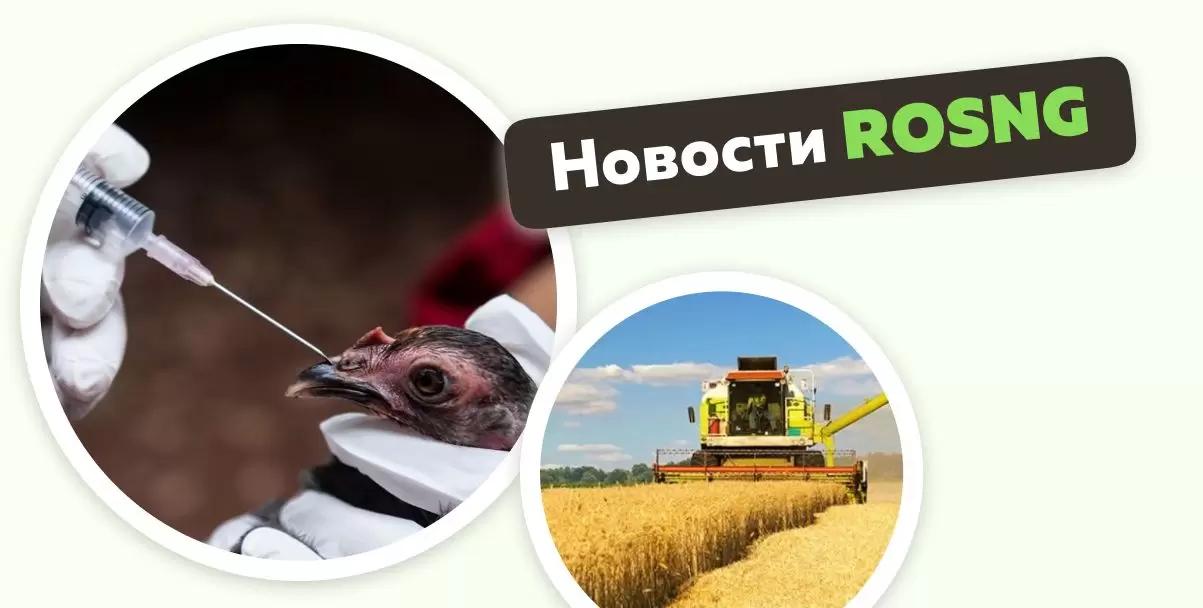 Обзор новостей за 21 мая