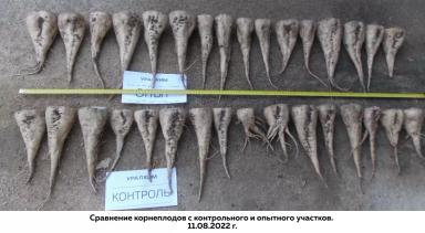 Листовые подкормки продуктами SOLAR NPK micro. Опыт на сахарной свекле.